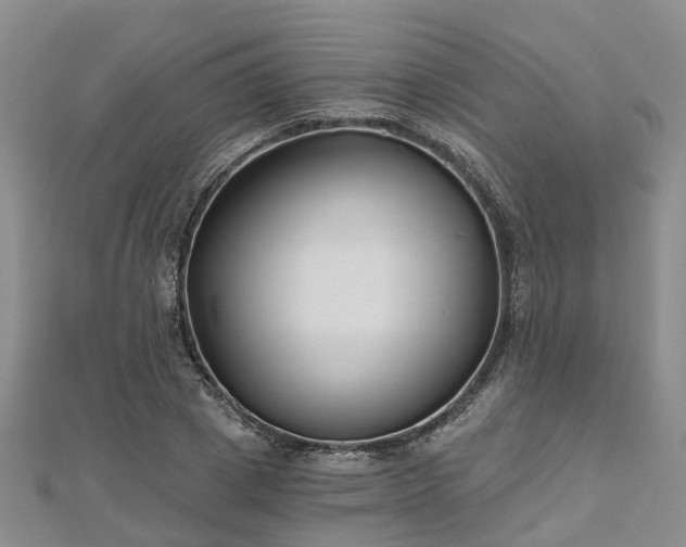X0000112480833200908241253