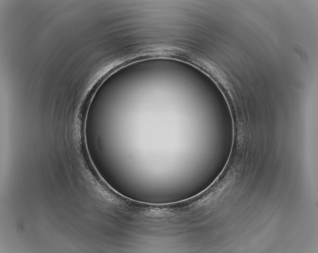X0000112480835200908241253