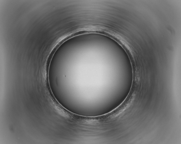 X0000112480837200908241253