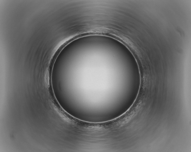 X0000112480838200908241253