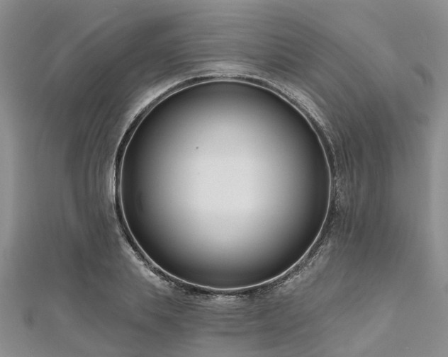 X0000112480839200908241253
