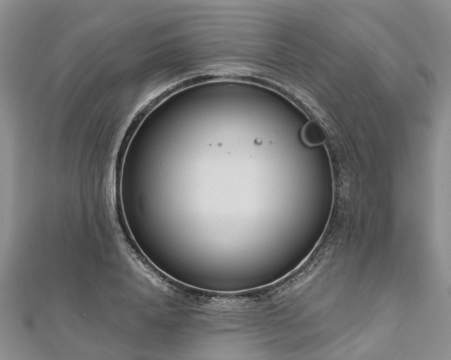 X0000112480840200908241253