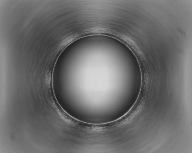 X0000112480841200908241253