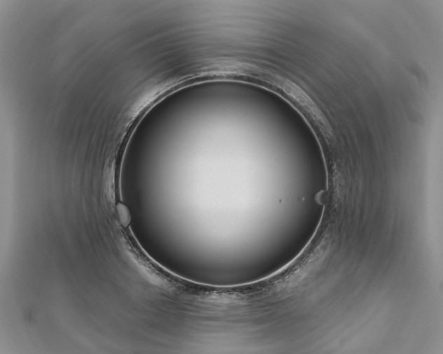 X0000112480842200908241253