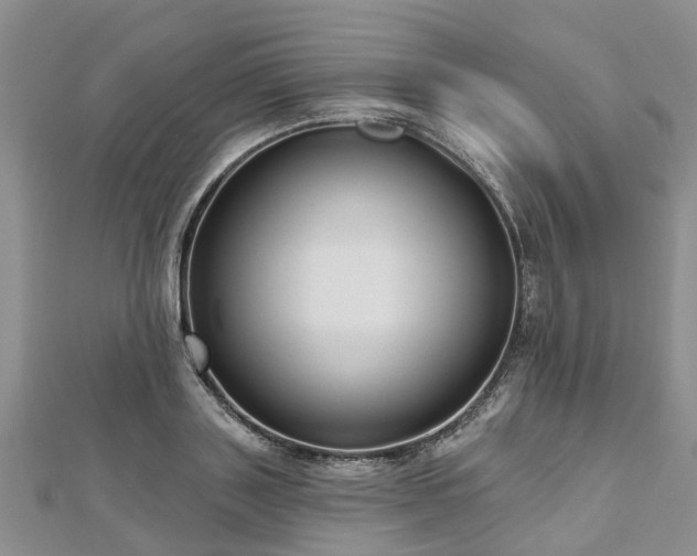 X0000112480843200908241253