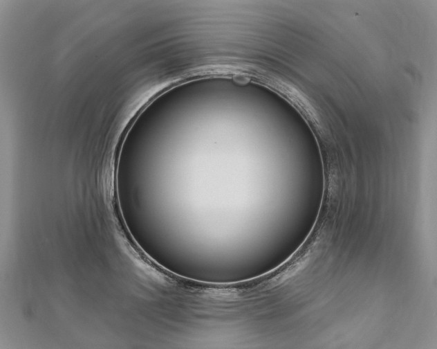X0000112480844200908241253