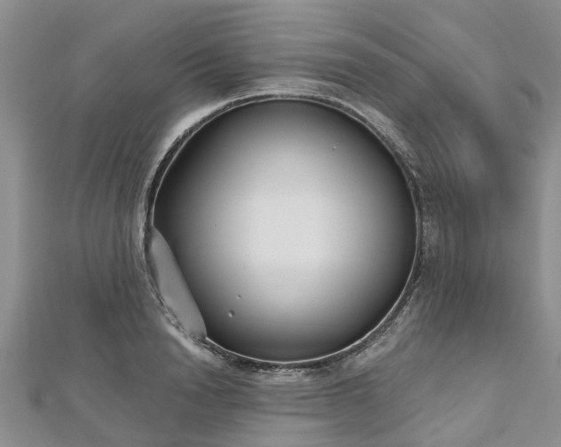 X0000112480846200908241253