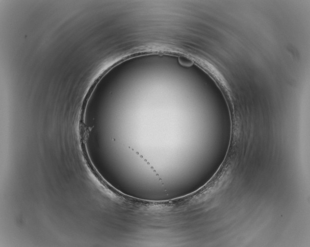 X0000112480847200908241253
