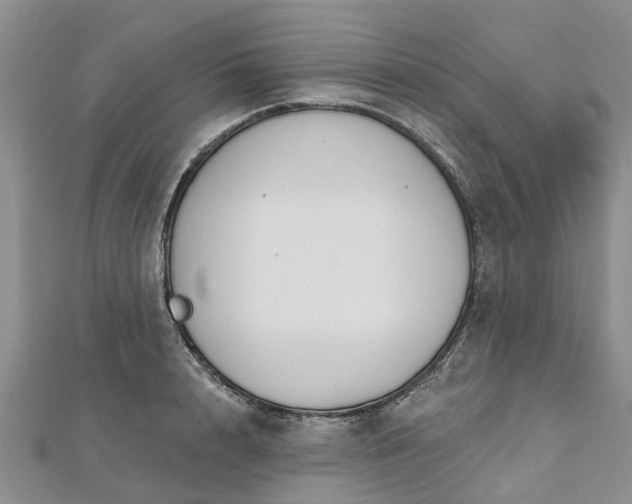 X0000112480848200908241253