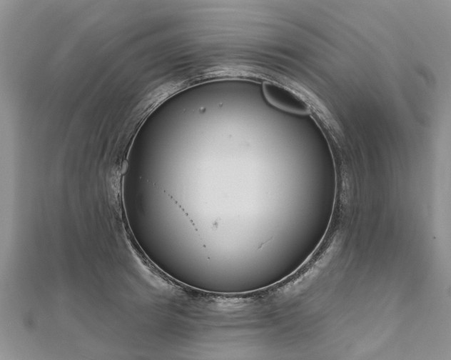 X0000112480849200908241253