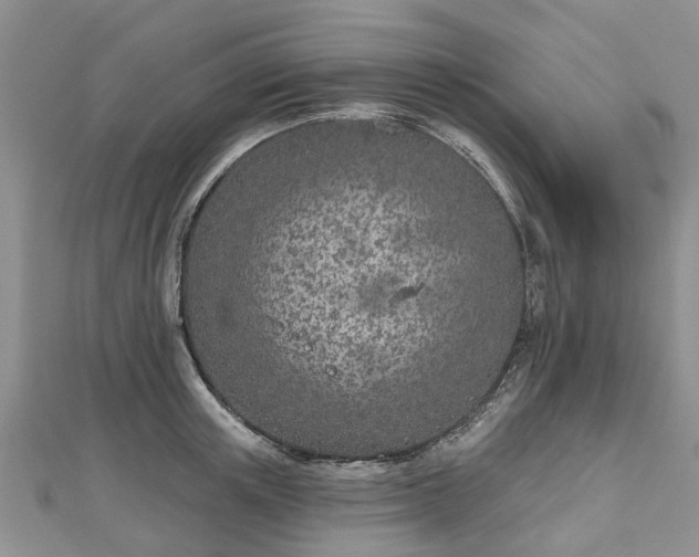 X0000112480851200908241253
