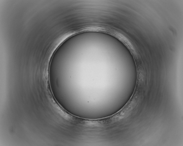 X0000112480852200908241253
