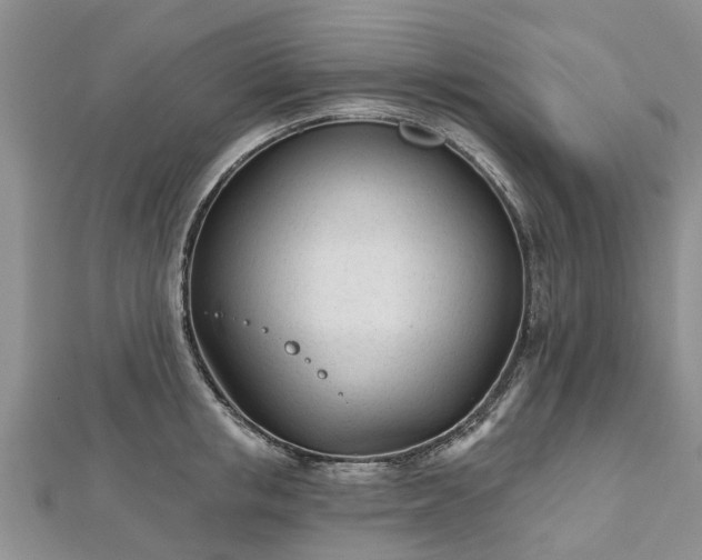 X0000112480853200908241253