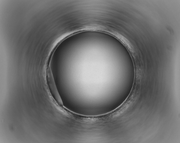 X0000112480854200908241253