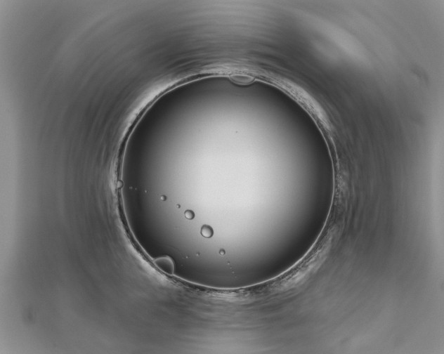 X0000112480855200908241253