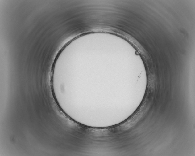 X0000112480856200908241253
