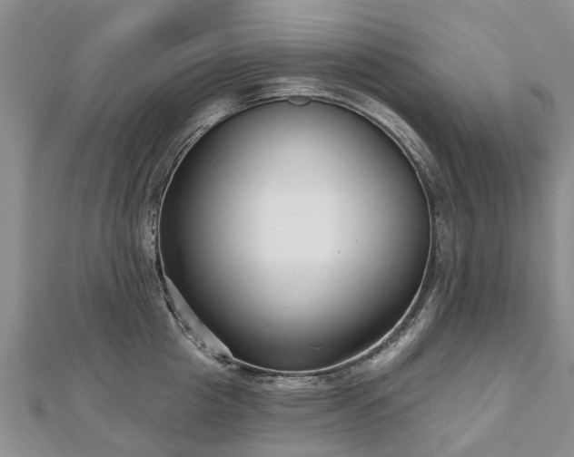 X0000112480857200908241253