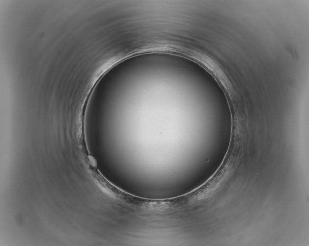 X0000112480858200908241253