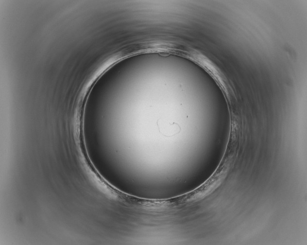 X0000112480859200908241253