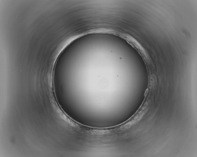 X0000112480860200908241253