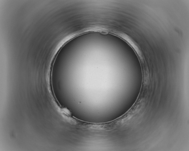 X0000112480861200908241253