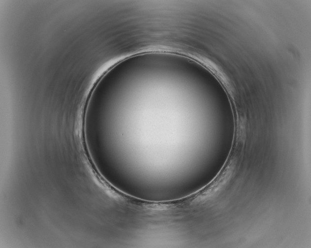 X0000112480862200908241253
