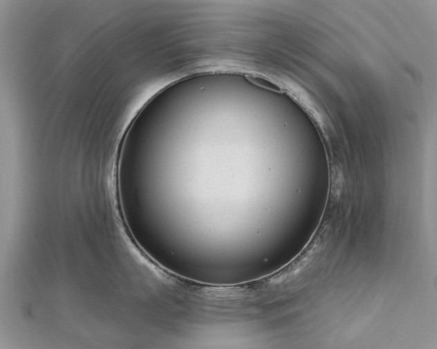 X0000112480863200908241253
