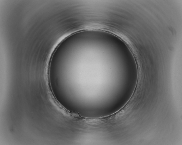 X0000112480864200908241253