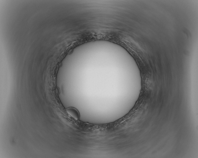 X0000112480865200908241252