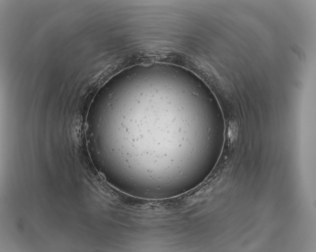 X0000112480867200908241252