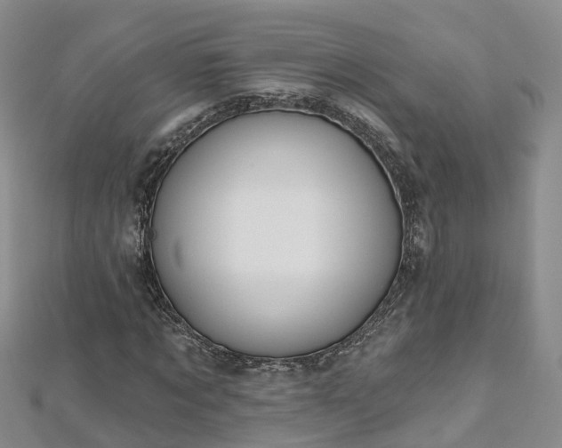 X0000112480869200908241252