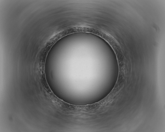 X0000112480870200908241252