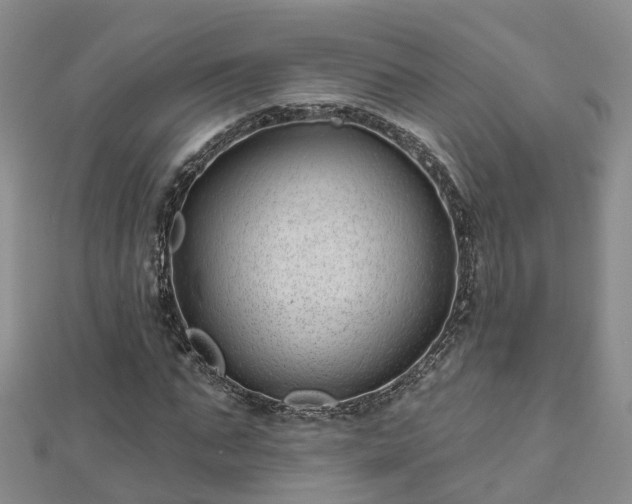 X0000112480871200908241252