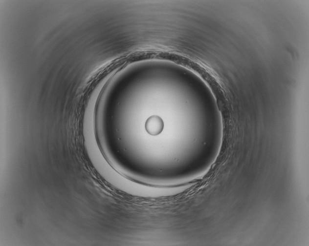 X0000112480872200908241252
