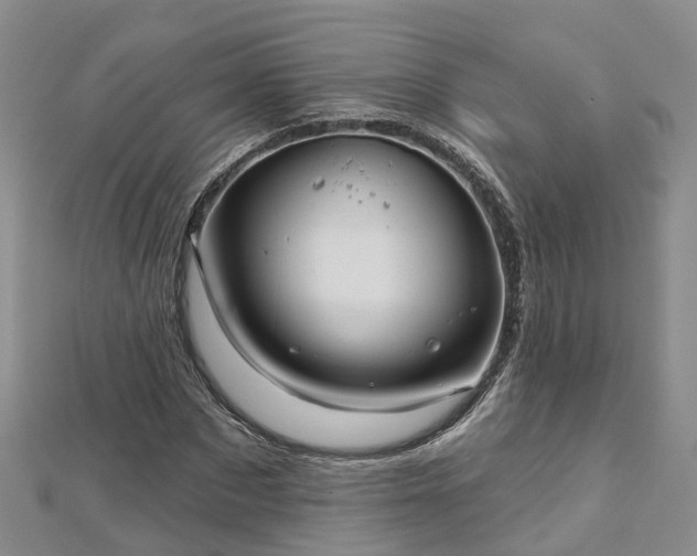 X0000112480873200908241252