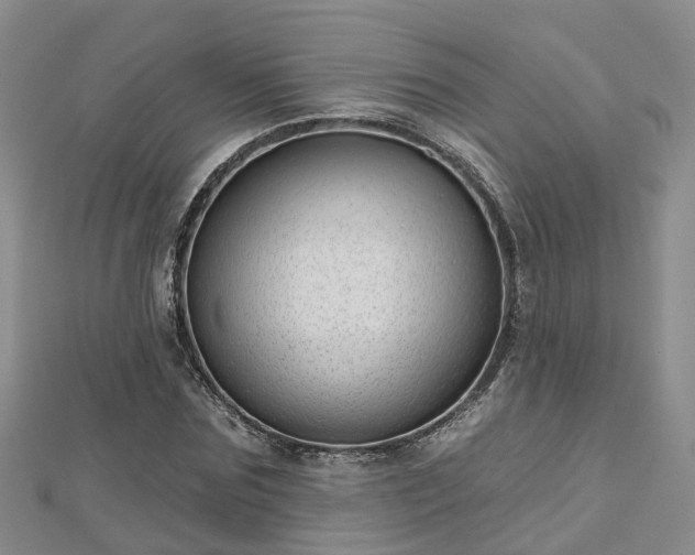 X0000112480875200908241252