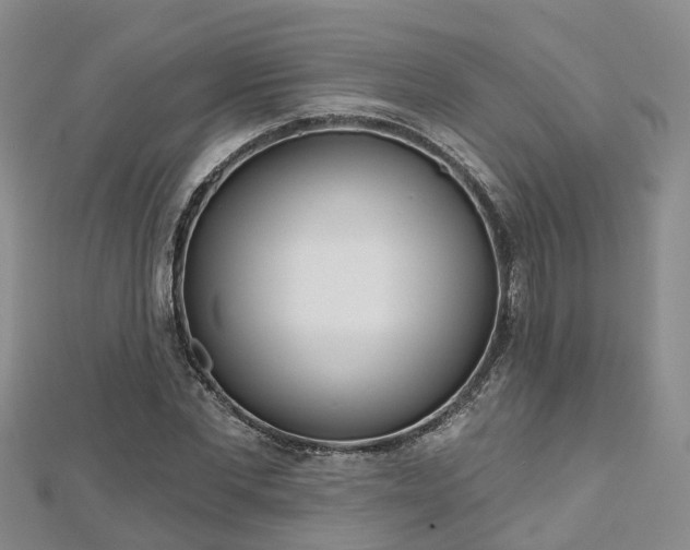 X0000112480877200908241252