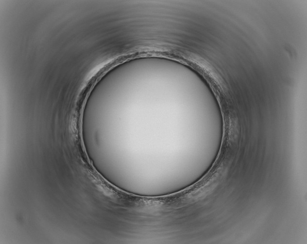 X0000112480878200908241252