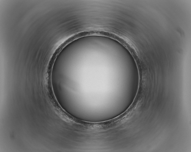 X0000112480879200908241252