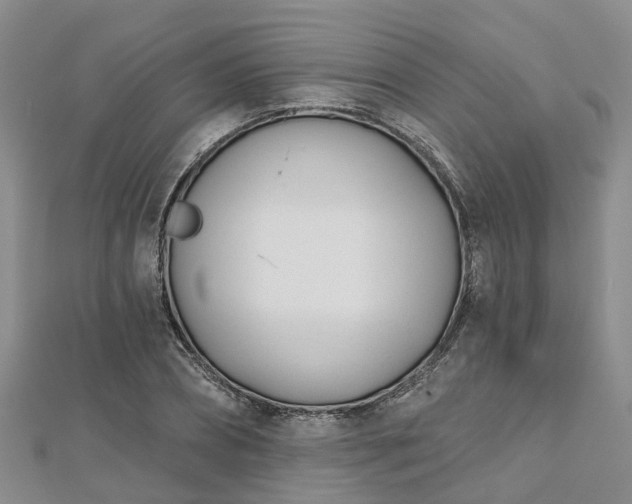 X0000112480882200908241252