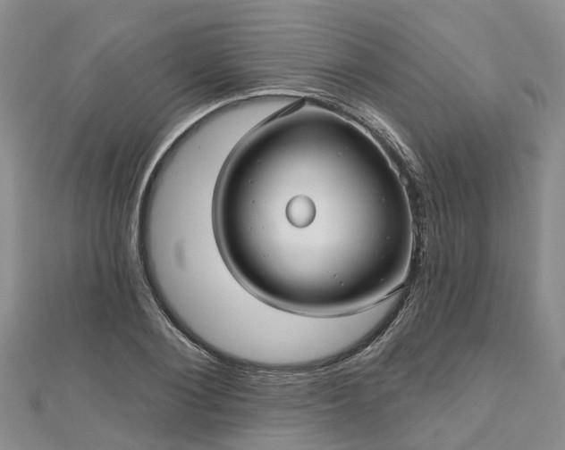 X0000112480884200908241252