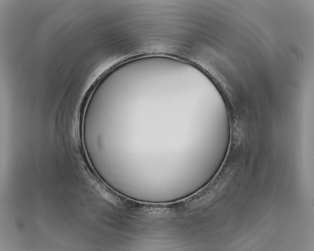 X0000112480886200908241252