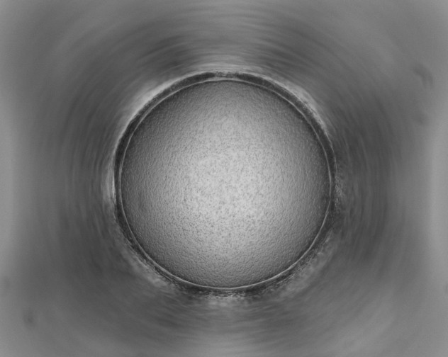 X0000112480887200908241252