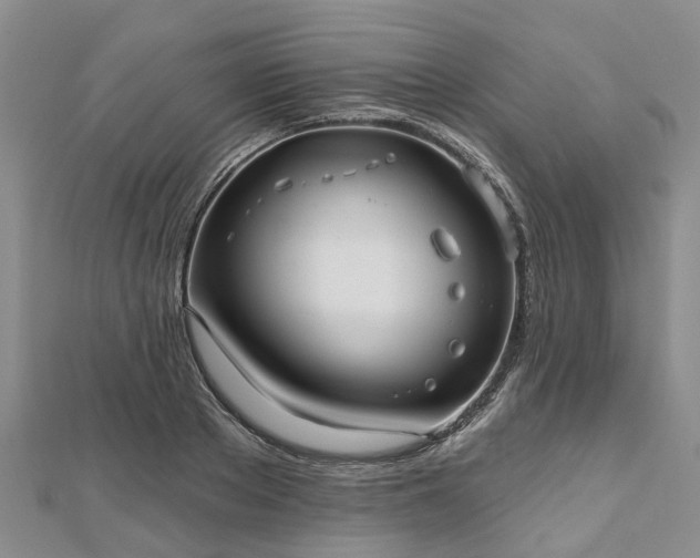 X0000112480889200908241252