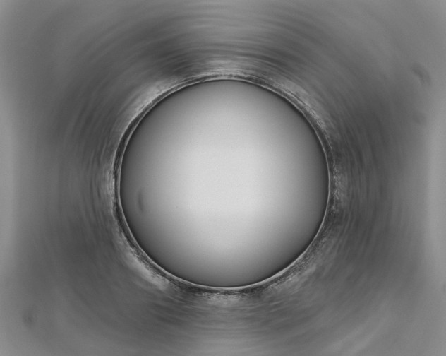 X0000112480890200908241252