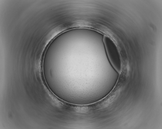 X0000112480893200908241252