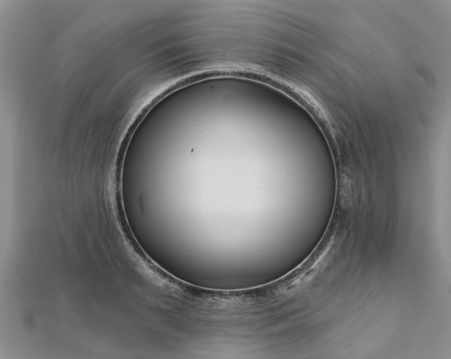 X0000112480895200908241252