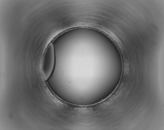 X0000112480896200908241252