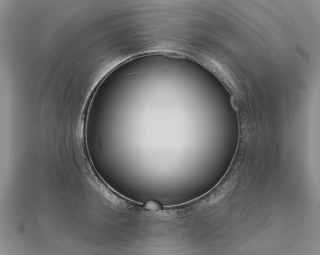 X0000112480900200908241252