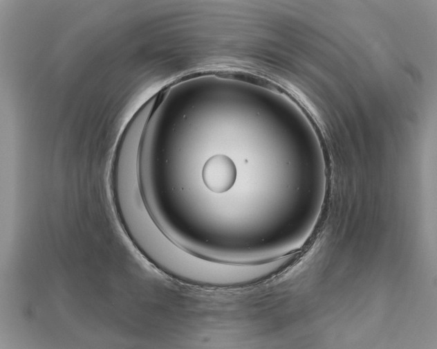 X0000112480901200908241252